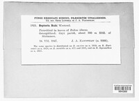 Image Associated With the Occurence
